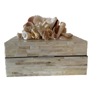 Decorative Shell Box For Sale