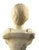 20th Century White Marble Bust of a Roman General For Sale - Image 12 of 13