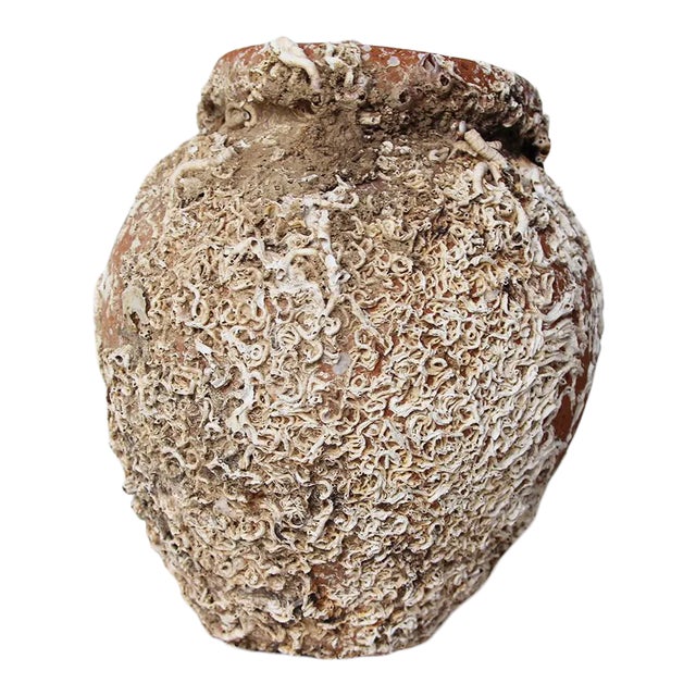 19th Century Terracotta Octopus Trap Vase For Sale