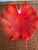 Mediterranean Murano Leaf-Form Red and Persimmon Ashtray or Candy Dish with Gold Flecks, Seguso Style For Sale - Image 3 of 6