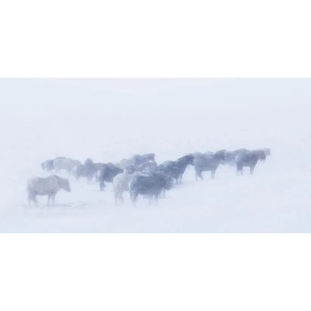 Hold The Line by Carys Jones Print, 30" x 60" For Sale