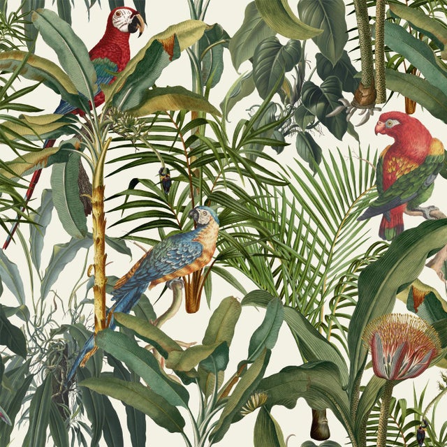 In this vibrant wallpaper design, inspired by the beautiful flora and fauna of Brasil, there is a stylish mix of...