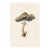 6" X 9" 'Rancid Greyling' or 'Lyophyllum Rancidum' Mushroom - Original Botanical Herbarium Watercolor & Pencil Fine Art Print For Sale