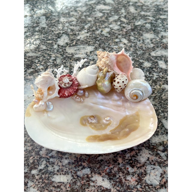 CSS Small Seashell Catchall Dish For Sale In West Palm - Image 6 of 6