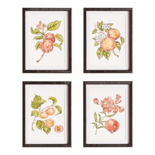 Autumnal Fruit Prints, Set Of 4 For Sale