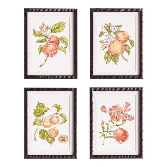Autumnal Fruit Prints, Set Of 4 For Sale