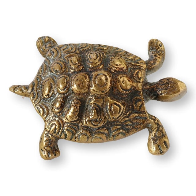 Antique English Brass Turtle For Sale In Los Angeles - Image 6 of 7