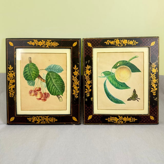 English Regency Period Watercolored Cherry Print in Hand Painted Lacquered Frame For Sale - Image 15 of 16