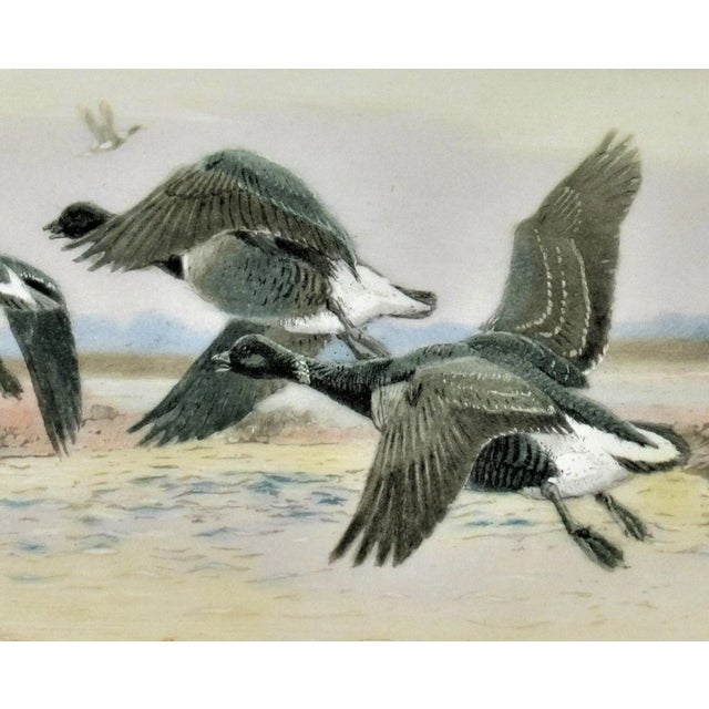 Winifred Austen, Black Geese, 1934 For Sale - Image 4 of 7