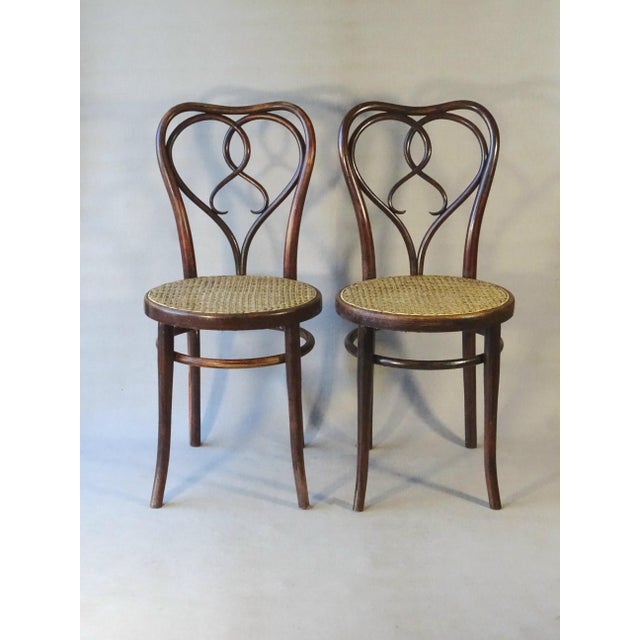 Wood No. 561 Chairs by Michael Thonet for Gebrüder Thonet, 1925, Set of 2 For Sale - Image 7 of 13