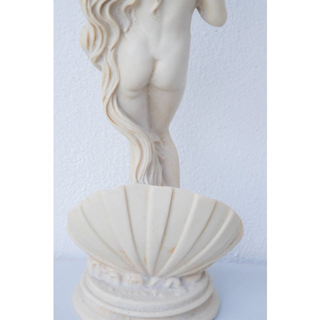 White Vintage Sculpture Birth of Venus Botticelli, 1970 For Sale - Image 8 of 8