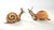 Gabriella Crespi Rare Italian Sculpture Snail Pair Solid Brass & African Bamboo Beads 1970s - Signed Tarzia Firenze Italy For Sale - Image 4 of 13