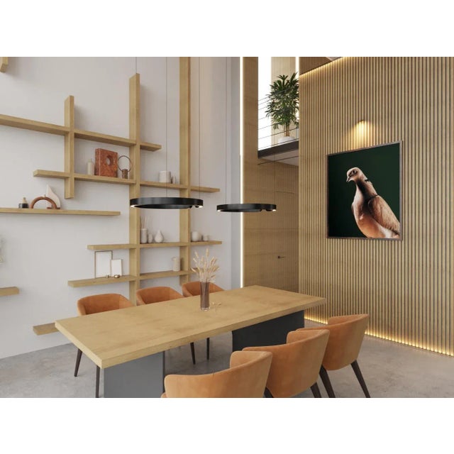 Contemporary Limited Edition Ring Necked Dove Print by Brendan Burden (40x50") For Sale - Image 4 of 4