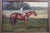 Late 20th Century Chestnut Horse Equestrian Jockey Oil Painting After Allen Culpepper Sealy 44" For Sale - Image 6 of 13