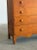 Wood 19th Century Mule Chest Dresser For Sale - Image 7 of 17