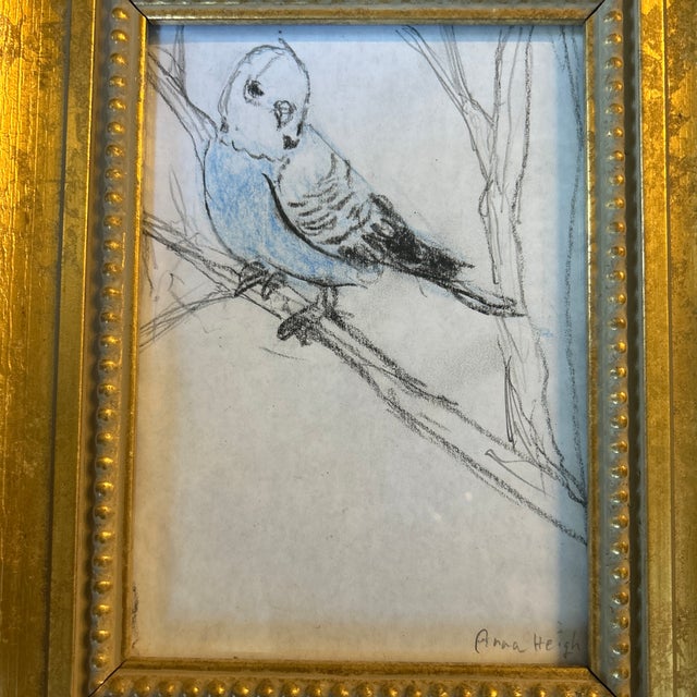 Contemporary original parakeet drawing by Anna Heigh. Signed and framed. 5x7 or approximately 9.5x11.5 framed. Check out...