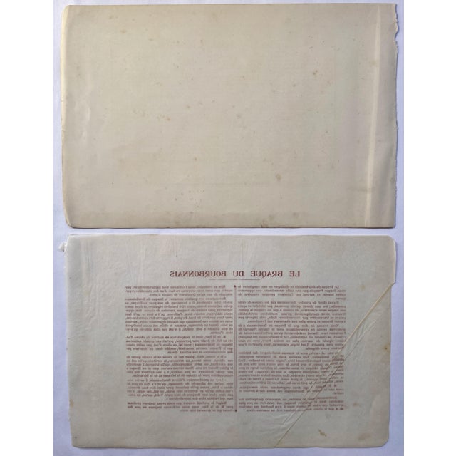 Illustration 1907 French Photogravure Print of “Le Braque Du Bourbonnais” or a Bourbonnais Pointing Dog - For Sale - Image 3 of 3