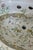 Kohler Artist Edition Garland White Drop-in Oval Traditional Bathroom Sink For Sale In Chicago - Image 6 of 7