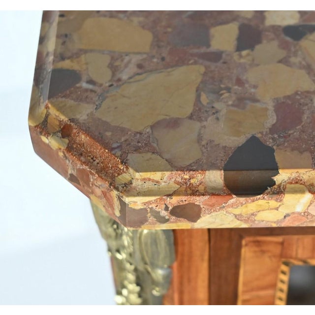 Wood Small Early 20th Century Louis XVI Transition Showcase For Sale - Image 7 of 18