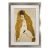 Egon Schiele Lithograph "Female Nude With Yellow Shawl" For Sale