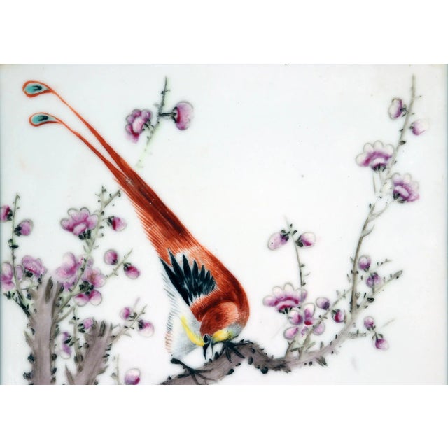 Early 20th Century Chinese Famille Rose Plaque, Long-Tailed Bird on Flowering Peach Branch For Sale - Image 5 of 8
