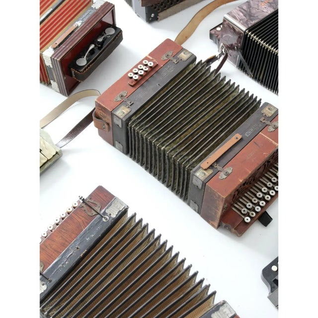 Wood Vintage Accordion Collection - Set of 8 For Sale - Image 7 of 12