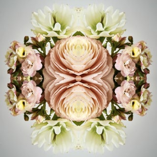 "No. 201" Contemporary Original Op Art Botanical Limited Edition Photograph Print by Erin Derby For Sale