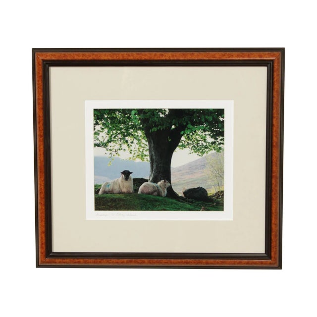 1990s "Sheepscape" Ireland Landscape Photography Print by John & Debra Scanlan For Sale - Image 13 of 13