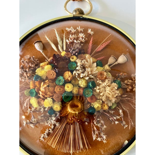 Vintage 1970s Belgian Cideart Convex Bubble Glass Dried Flower Shadow Box For Sale - Image 4 of 12
