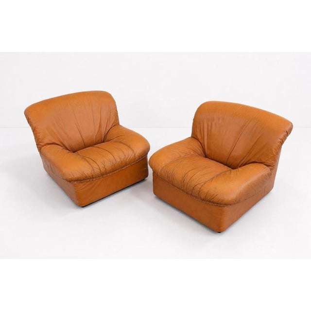Animal Skin Vintage Italian Giusy Lounge Chairs in Leather from Neoflex, 1970s, Set of 2 For Sale - Image 7 of 12