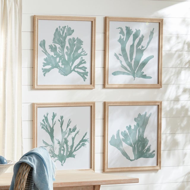 Coastal Coral Silhouettes In Soft Green, Set Of 4 For Sale - Image 3 of 4