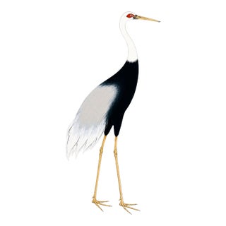 Japanese Crane Study 3, Neutral Coastal Print, 24" X 36" For Sale