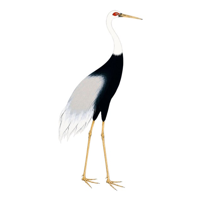Japanese Crane Study 3, Neutral Coastal Print, 24" X 36" For Sale