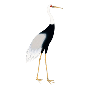 Japanese Crane Study 3, Neutral Coastal Print, 24" X 36"