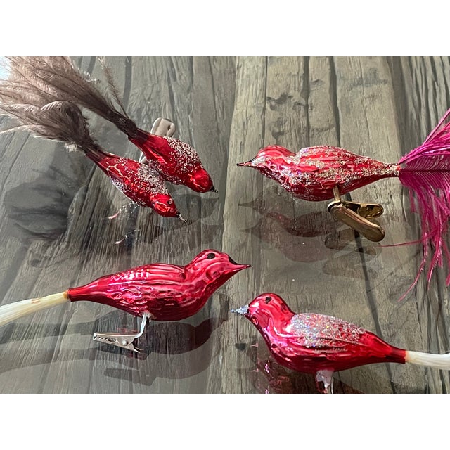 Shabby Chic Vintage Red Glass Feathered Birds Clip on Christmas Ornaments For Sale - Image 3 of 5