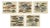 John Nieuhoff, Exotic Fish, 1800s, Paper, Set of 5 For Sale
