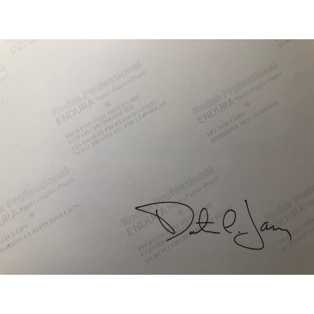 2000 - 2009 Peter C. Jones 1, Sweet Williams, Large Format Flowers Photo 24X20 Color Photograph Beach House, 2002 For Sale - Image 5 of 6