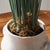 Kenneth Ludwig Chicago Field Grass Drop-In 35" For Sale - Image 4 of 5
