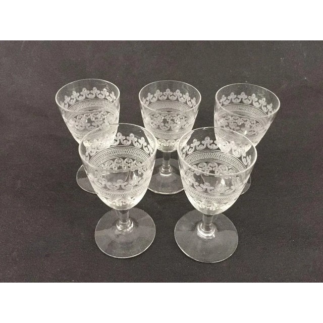 English Antique Etched Sherry / Liquor Glasses - Set of 5 For Sale - Image 3 of 4