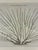 Large-scale framed botanical study by Natural Curiosities, based on an early-19th-century horticultural illustration...