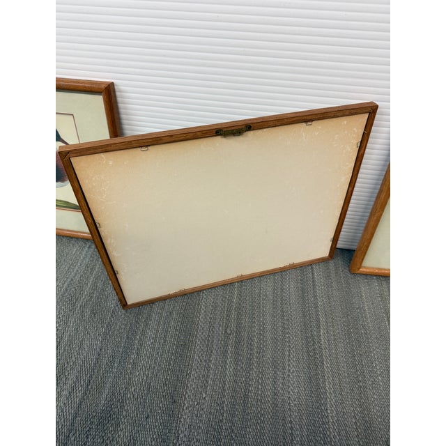 Illustration Jan Christian Sepp Merganser Duck Engraving Reproductions, Pair For Sale - Image 3 of 9