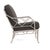 Contemporary Brown Jordan Calcutta Lounge Chair, Dove frame with Fusion Charcoal fabric For Sale - Image 3 of 11