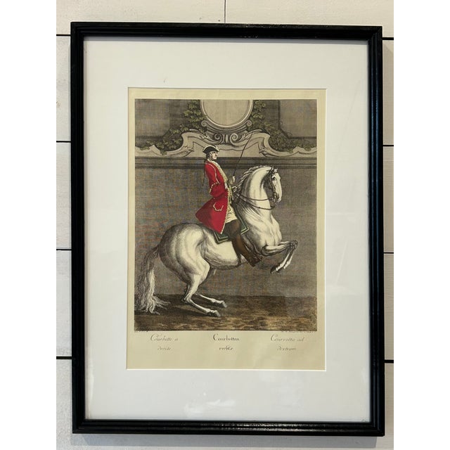 Antique Equestrian/Dressage Prints, Set of Seven, Framed For Sale In New York - Image 6 of 13