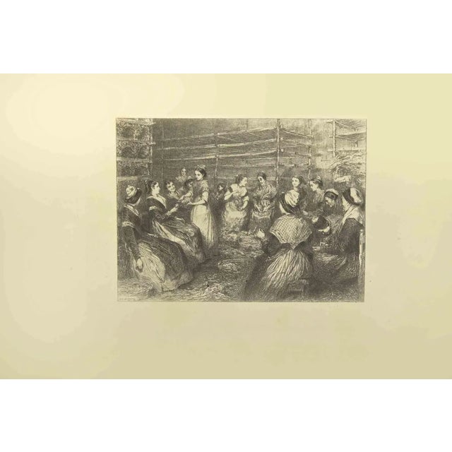 Eugène Burnand, Cocoons, Etching, Late 19th Century For Sale
