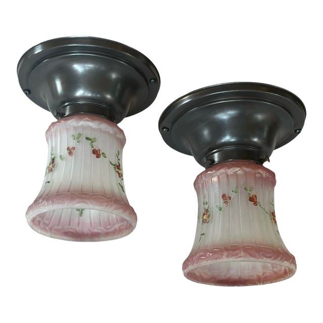 Pair of Hand Painted Botanical Shades on Dark Painted Brass Holders For Sale