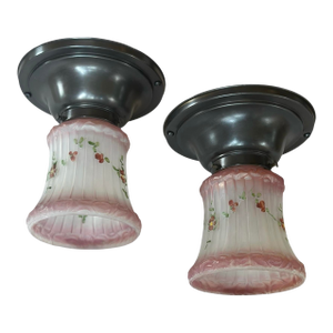 Pair of Hand Painted Botanical Shades on Dark Painted Brass Holders