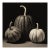 Black & White Botanical Pumpkins No. 1 — Fine Art Photograph Print | Unframed For Sale