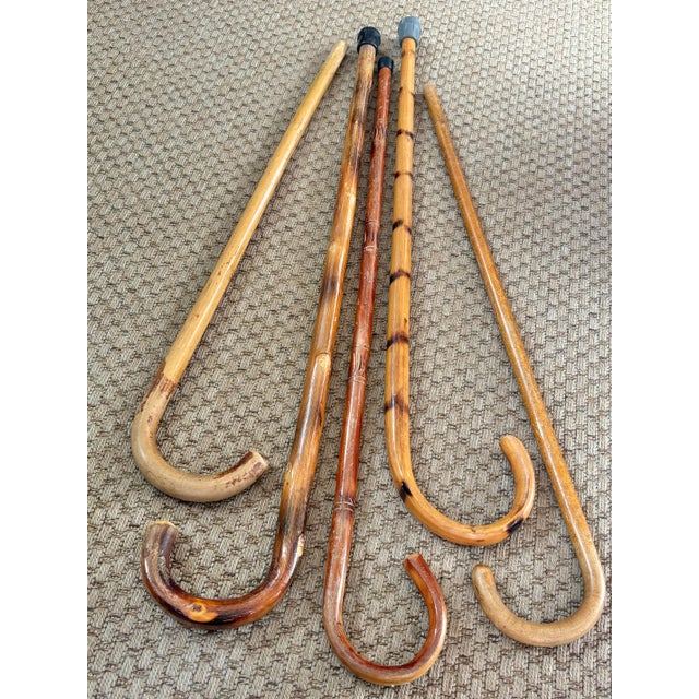 Mid 20th Century Rustic Estate Wood Bamboo Walking Canes - Set of 5 For Sale - Image 17 of 17
