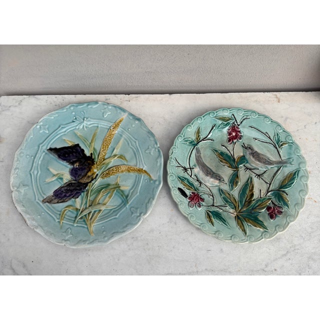 Baby Blue Circa 1890 French Majolica Birds Plate Onnaing For Sale - Image 8 of 8