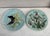 Baby Blue Circa 1890 French Majolica Birds Plate Onnaing For Sale - Image 8 of 8